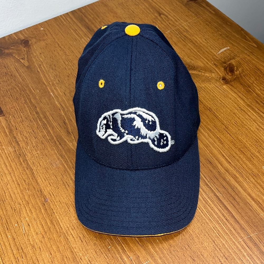 University of Michigan UofM Wolverine OS